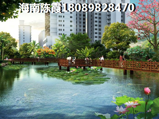 海南省买房有touzi价纸吗？
