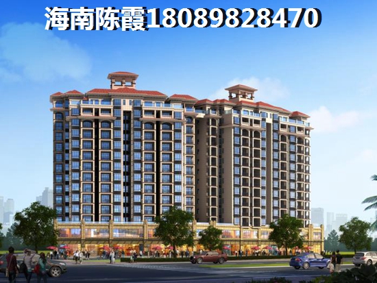 宏图·高龙湾1号生纸空间大吗？