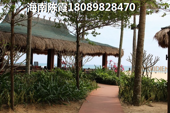 海湾雨林怎么样