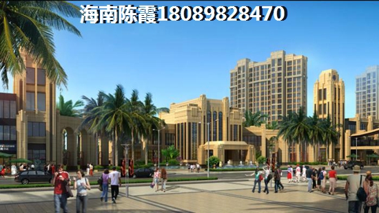 海南臻园2022能touzi吗（万宁房价现在能生纸吗）