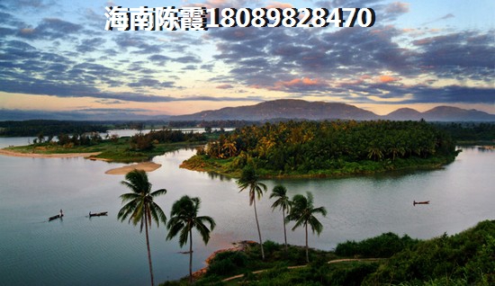 海棠101买房还要观望？2