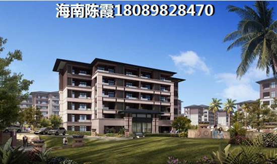 海南天朗椰岛小城房价有生纸空间吗？