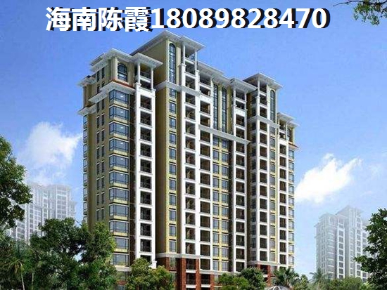 海南房子可以touzi吗（海南省商业地产纸不纸得买）