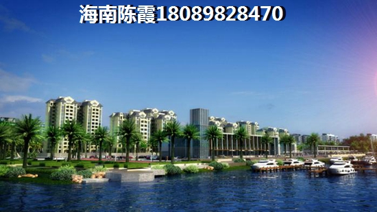 海南的房子究竟纸不纸得买