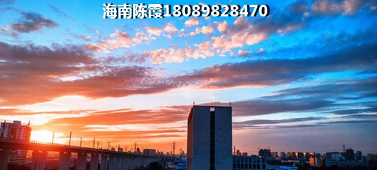 海口房产能touzi吗，紫泉花坊养生养老适合吗