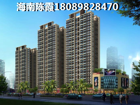 海的理想VS东方壹号华府分析对比