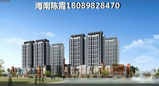 海南发展前景如何？1