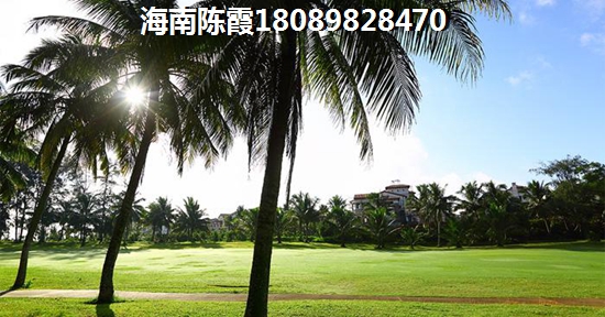 海南气候贸然买房攻略