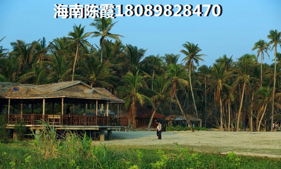 海逸广场房子受热捧！