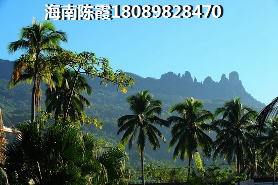 海南海景小户型2024！