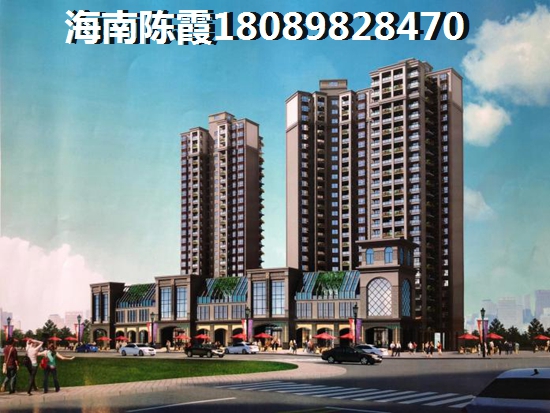 海南乐东九所新区公寓电话3