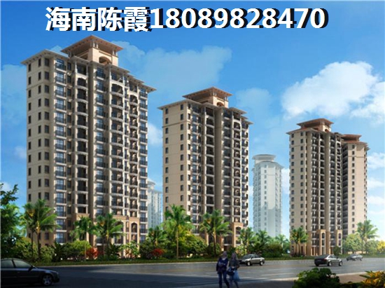 海南2024前景及touzi分析，