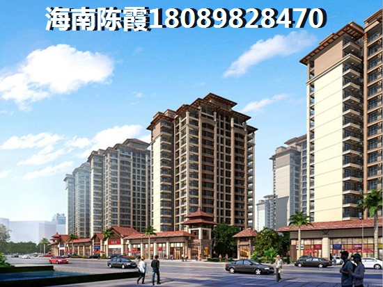 >2024乐东买房解析