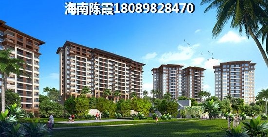 海南白沙城市规划有哪些，福安·中央公园周边配套的重要性！