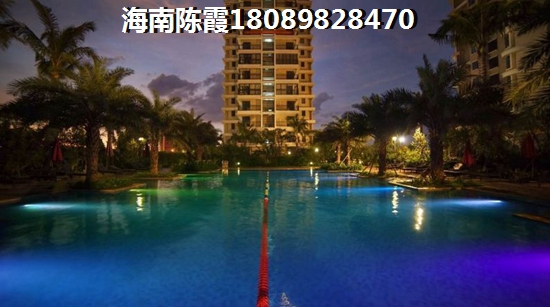 业主为什么看好海南未来前景？