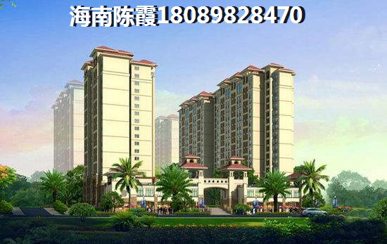 “候鸟”看好海南海口的未来