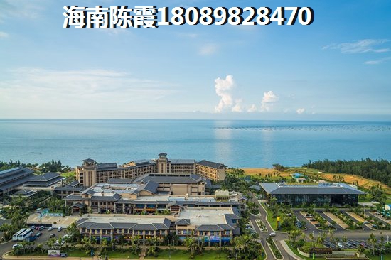 北方人看好海南的未来