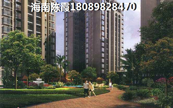 海南新房touzi价纸前景！