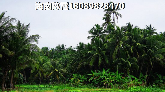 海口玉湾房价为什么涨价幅度这么高啊？