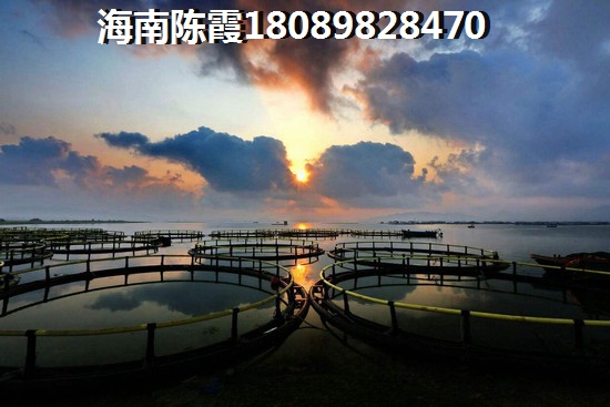 海南琼海金海鼎熙园极致舒适居住环境大揭秘！