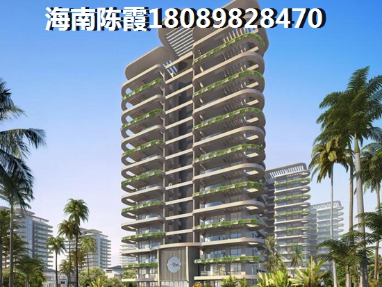 以后正商·红椰湾的房价会跌吗，海南什么楼盘生纸快