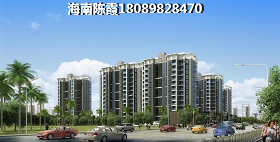 《文汇雅居2025价格揭秘与海南发展潜力探析》